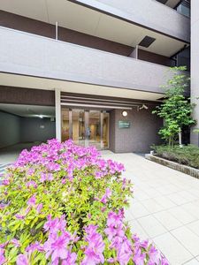 エスティメゾン秋葉原 203号-2