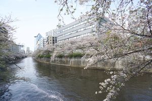 スペーシア目黒不動前 504号-15