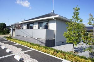 グレイッシュ・ウエスト