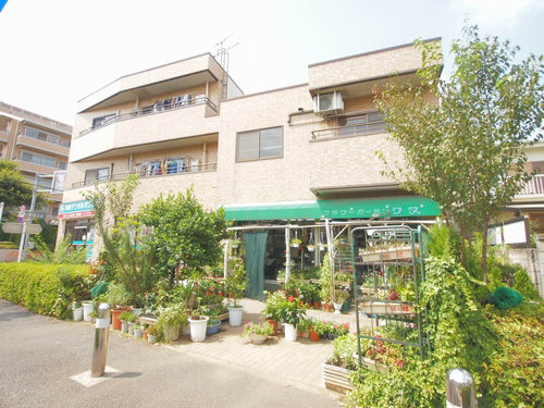 ドミ－ル弦巻 202号-14