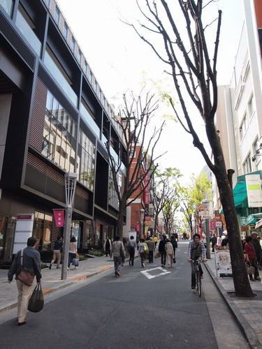 Ｖｉａ神楽坂 501号-13