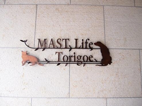 マストライフ鳥越 304号-15