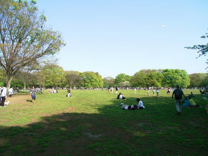 フォーレスト代々木　Ｂ 204号-12