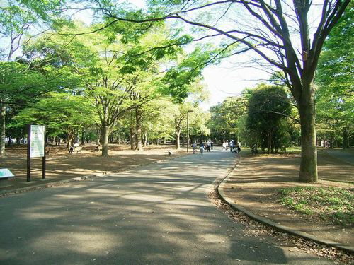 フォーレスト代々木　Ｂ 204号-13