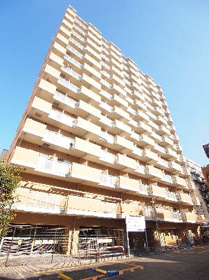 エスティメゾン川崎Ⅱ 1101号-10