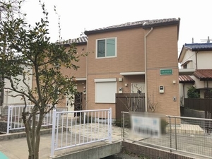 ピア　アドニス