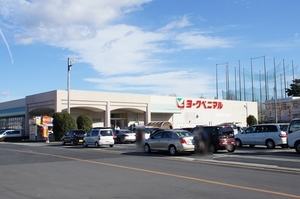 メゾン・アルビレオE 101号-14