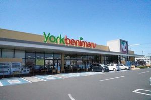 メゾン　グリシーヌＢ 101号-13