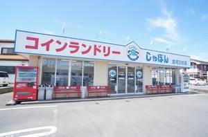 エクセランF 102号-15