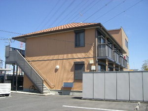 Ａｍａｄｅｕｓ　Ｉｍａｉｚｕｍｉ 102号-12