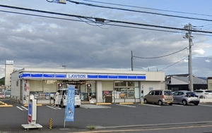 プラムグローブＤ 110号-12