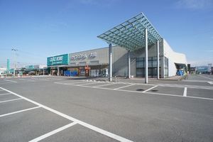 フロント・コートA 202号-14