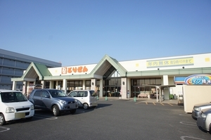 ＧＲＥＥＮ　ＧＡＢＬＥＳ　Ｂ 101号-12