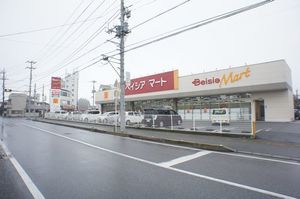 メゾン・ド・ふるらーじゅA 205号-13