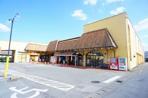 サイライフ　ハイツ　Ｃ 101号-12