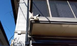 Ｃｉｅｌ　Ｓａｉｓｏｎ　Ｂ 205号-13