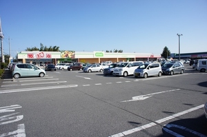 Ｃｉｅｌ　Ｓａｉｓｏｎ　Ｂ 205号-15