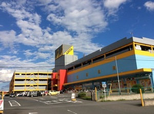 ヴェルドミール 103号-5