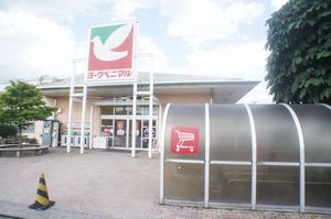 グレイスタウンＢ 101号-14