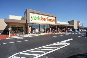 イーストヒルズ渡辺１ 202号-5