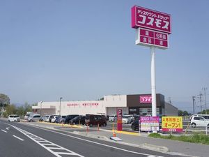 グリーンパールB 201号-9