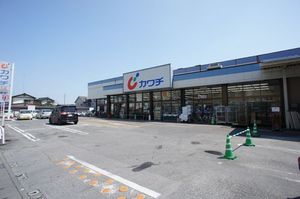 グリーンパールB 201号-11