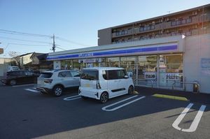 シャルマン 102号-13