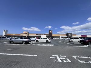 メゾンＳＡＫＵＲＡ 201号-14