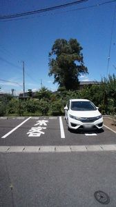 カサベルテもみじ谷A 102号-2