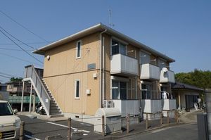 ＳｈａＭａｉｓｏｎ　Ｖｉａ　Ｌａｔｔｅａ 203号-1