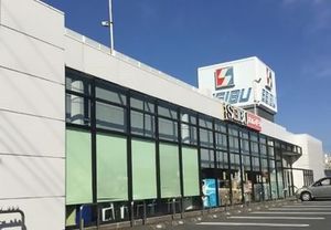 ＳｈａＭａｉｓｏｎ　Ｖｉａ　Ｌａｔｔｅａ 203号-13