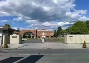 ＳｈａＭａｉｓｏｎ　Ｖｉａ　Ｌａｔｔｅａ 203号-15