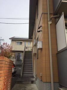 リトル　エンジェル 102号-14