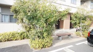 Ｆｅｉｎ　ｐｌａｔｚ 106号-14