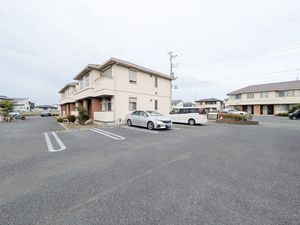 Ｐａａｒ　Ｗｅｒｋ 206号-12