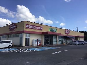 ダルジャンＡ 202号-5