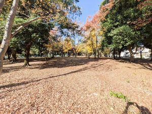 メルベーユ 201号-15