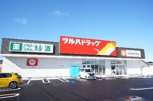 ディアス大多Ｈ 203号-13