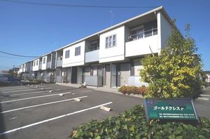 ゴールドクレスト 201号-1