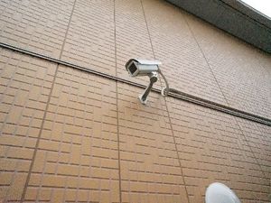 ジナンドモルフＤ 202号-10