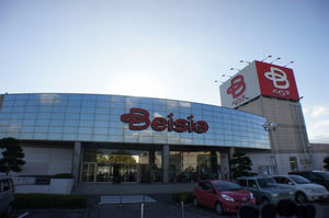 ピジョット 103号-15