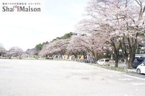 ペパルク 205号-3