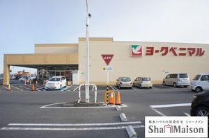 ペパルク 205号-4