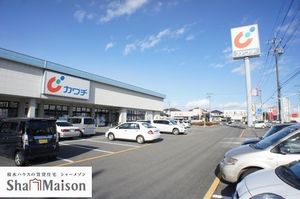 ペパルク 205号-5