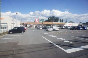 サニー・コートＡ 102号-13