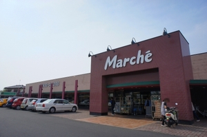 リヴェールＦ 203号-12