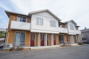 パイン・トゥリー