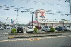 アリシャＡ 203号-15