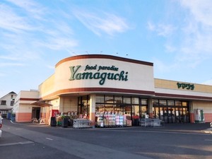 ラフォーレ福居１２　Ｂ 205号-14