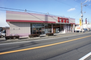 カーネーション　Ｃ 101号-14